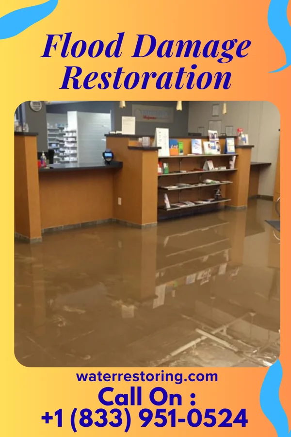 Flood Damage Restoration in Blue Mountain, MS