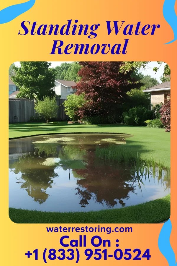 Standing Water Removal in Blue Mountain, MS
